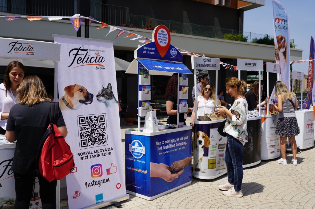 Pati dostlarına muhteşem yarışma