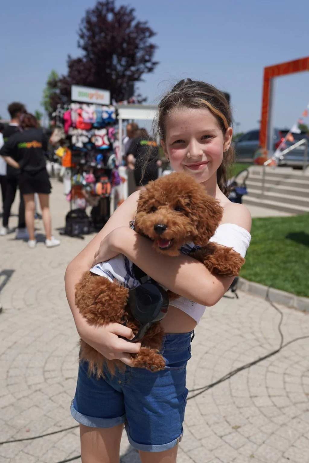 Pati dostlarına muhteşem yarışma