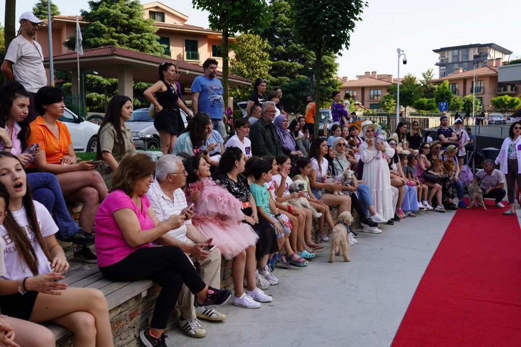 Pati dostlarına muhteşem yarışma