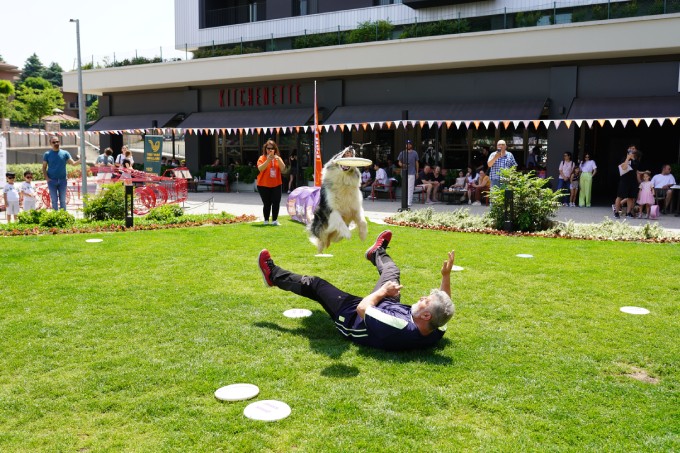 Pati dostlarına muhteşem yarışma