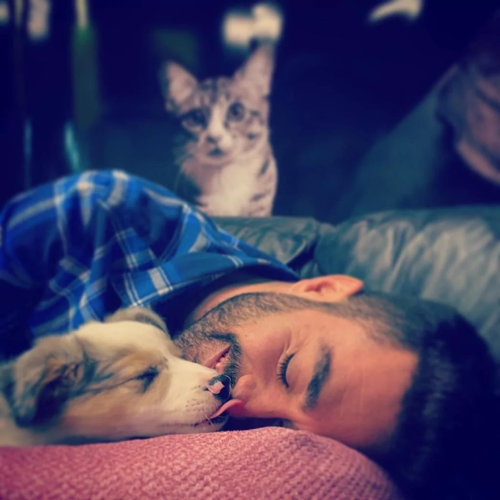 Patili dostlar için konut projelerinde yaşam alanları istiyoruz