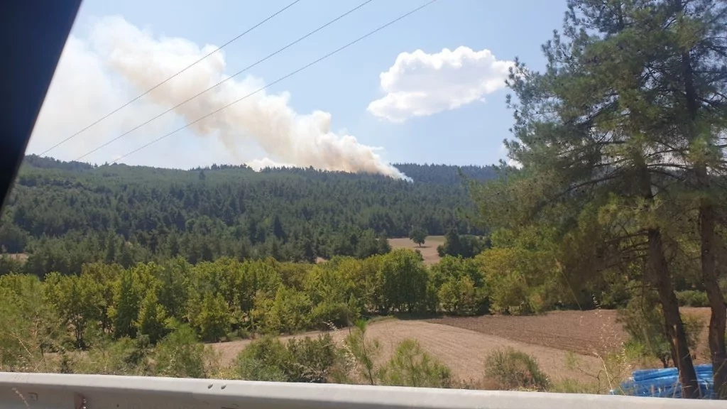 Bursa'da orman yangını için müthiş seferberlik...