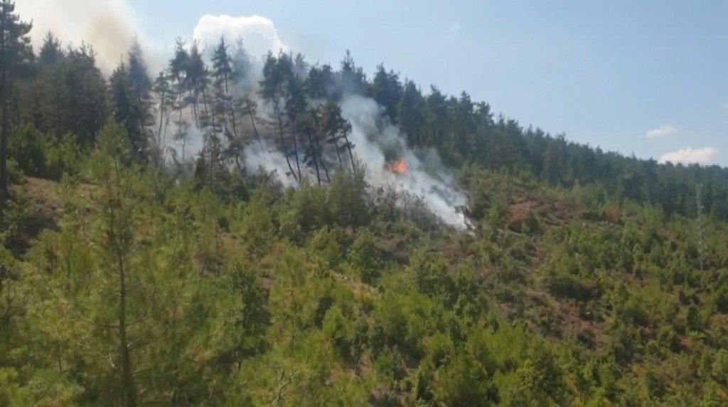 Bursa'da orman yangını için müthiş seferberlik...