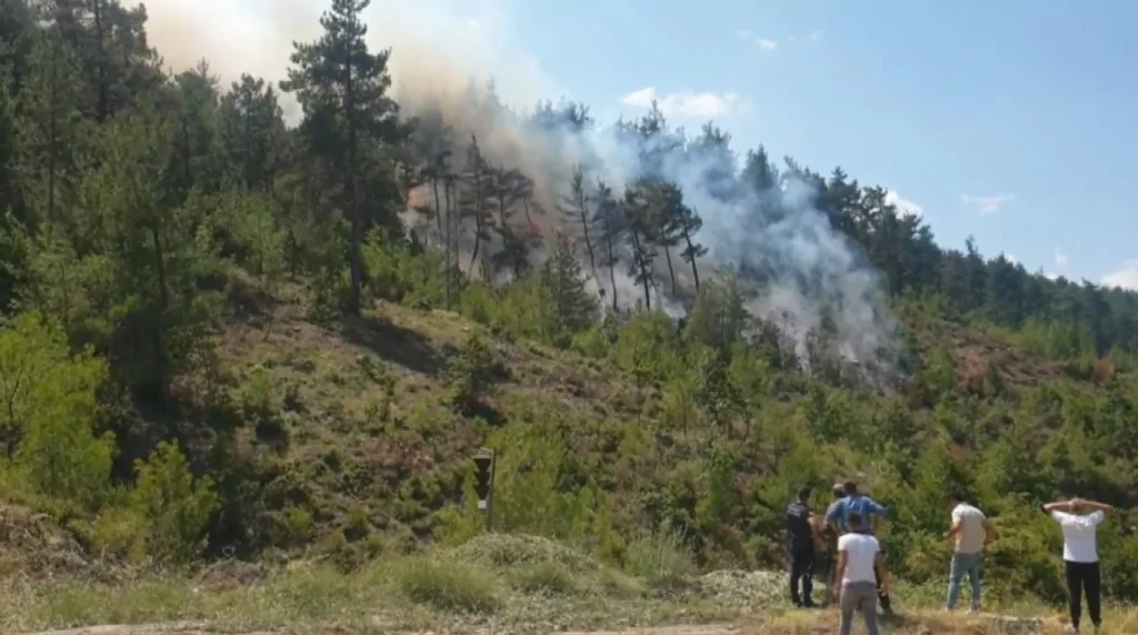 Bursa'da orman yangını için müthiş seferberlik...