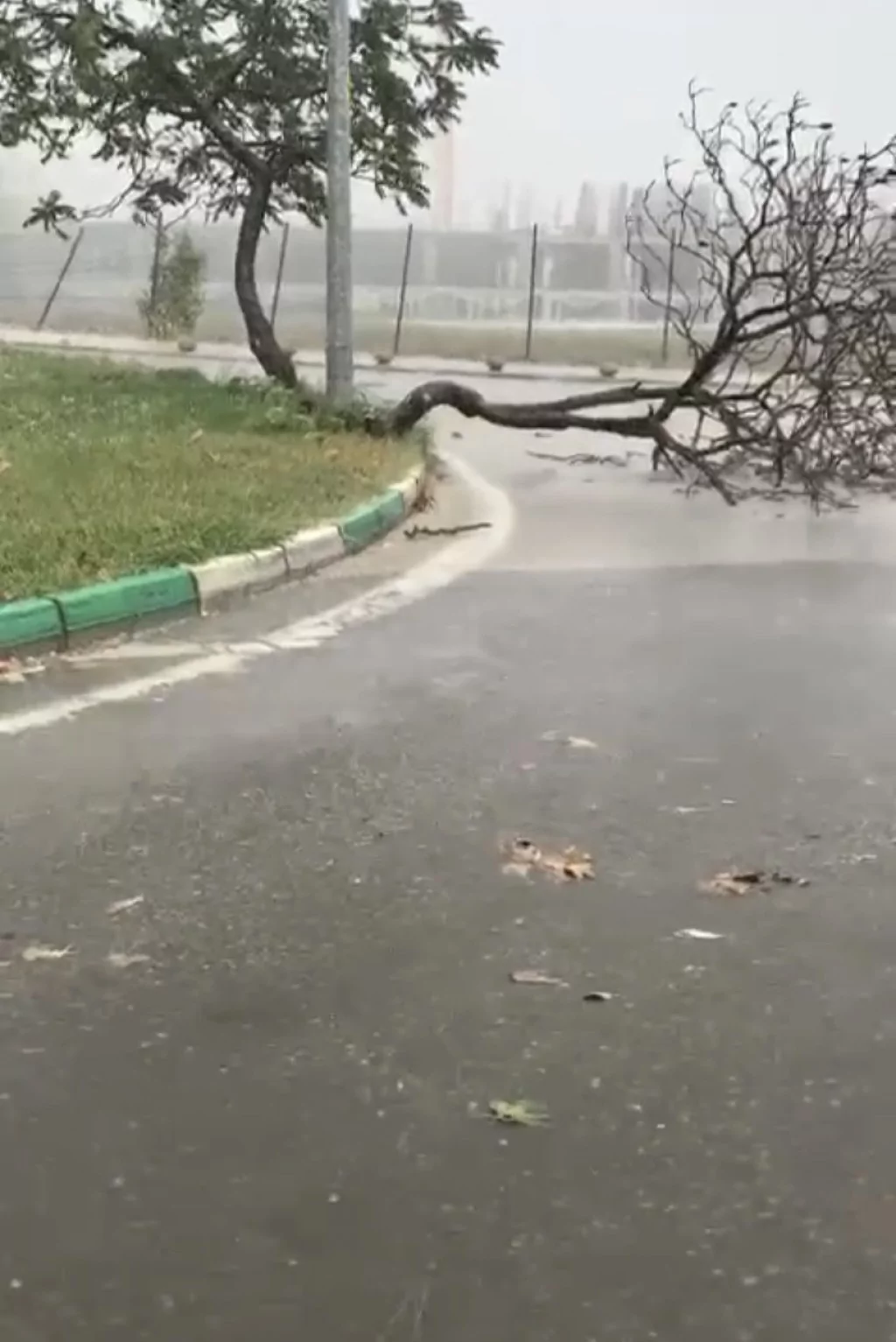 Bursa'da yıldırım otobüs terminaline düştü...Çatı çöktü.. Ağaçlar yıkıldı