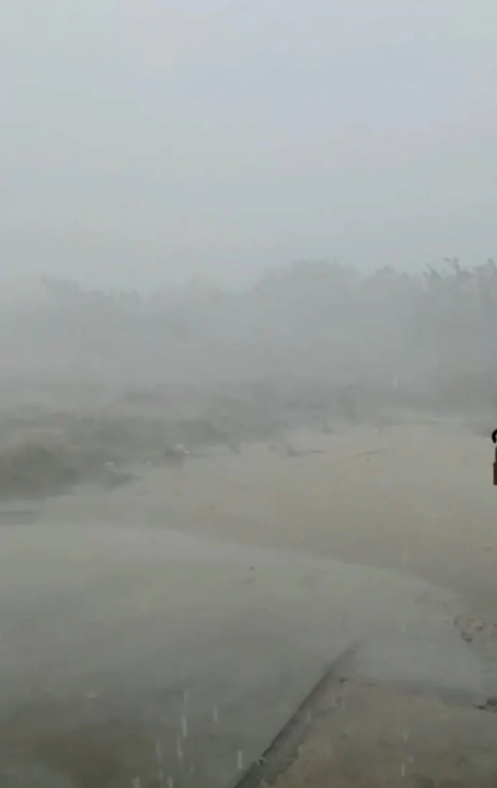 Bursa'da yıldırım otobüs terminaline düştü...Çatı çöktü.. Ağaçlar yıkıldı