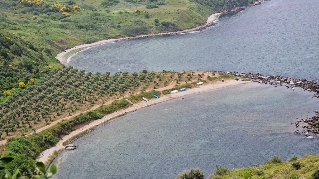 Çevreciler doğa için yürüdü