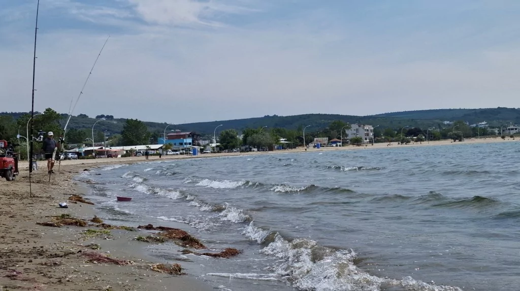 Çevreciler doğa için yürüdü