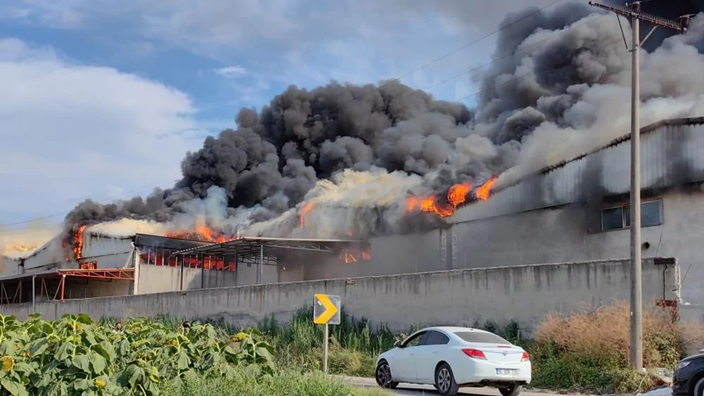 Bursa'da büyük fabrika yangını! Duman gökyüzünü kapladı