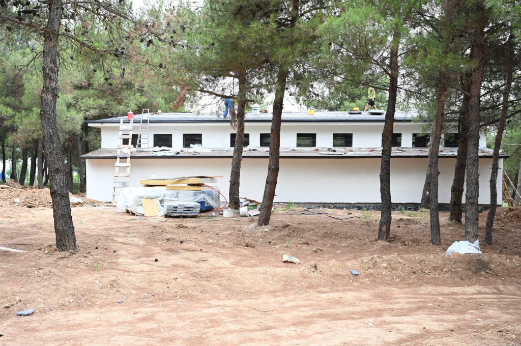 Bursa'da sokak hayvanları için rehabilitasyon merkezi