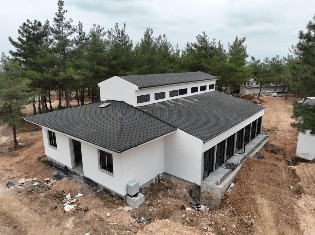 Bursa'da sokak hayvanları için rehabilitasyon merkezi