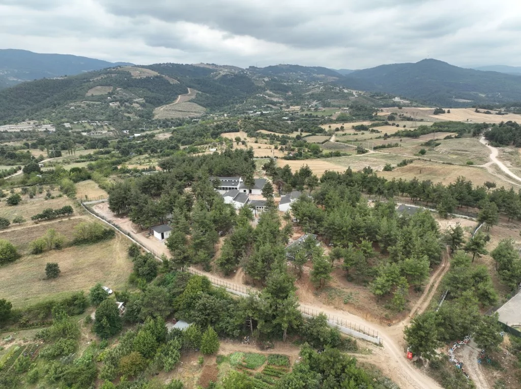 Bursa'da sokak hayvanları için rehabilitasyon merkezi