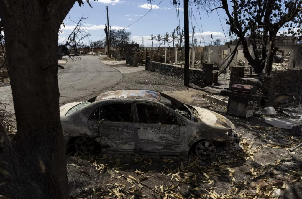 ABD'de yüzyılın en büyük felaketi