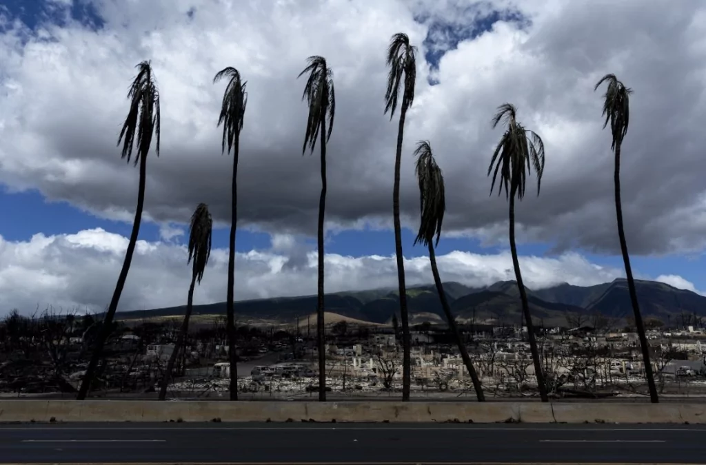 ABD'de yüzyılın en büyük felaketi