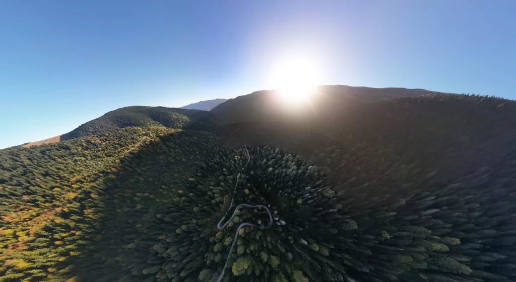 Gümüşhane'nin Örümcek Ormanları sonbaharın büyüsüne kapıldı