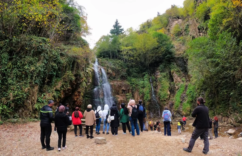 Gümüşhane'nin Örümcek Ormanları sonbaharın büyüsüne kapıldı