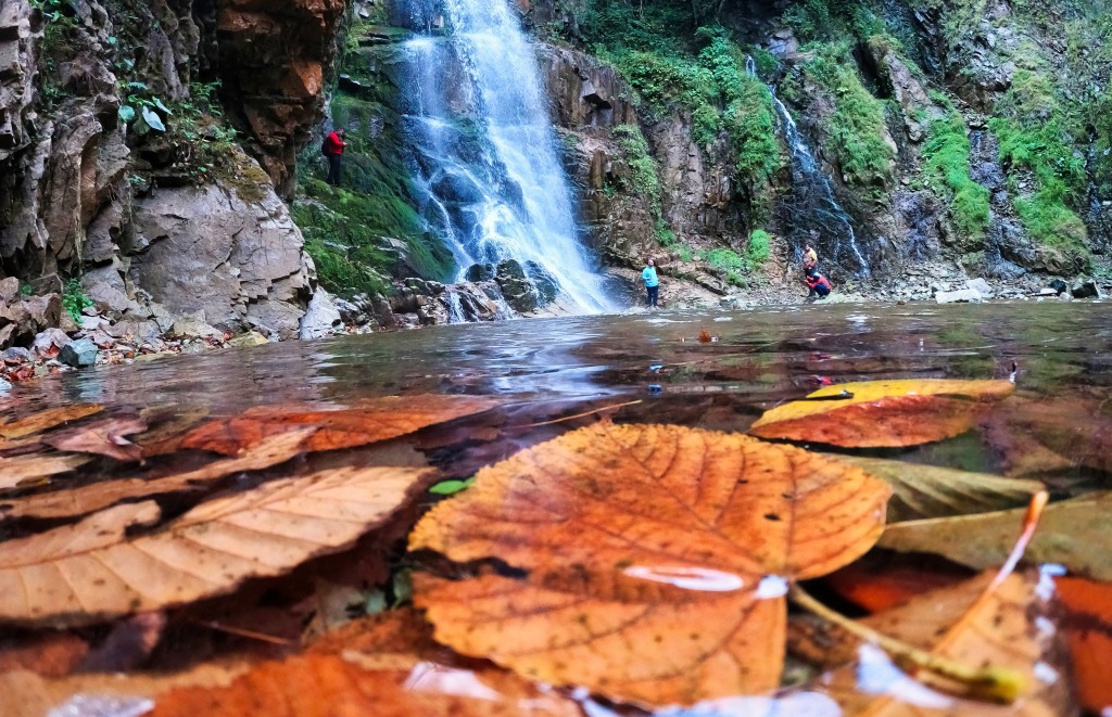 Gümüşhane'nin Örümcek Ormanları sonbaharın büyüsüne kapıldı