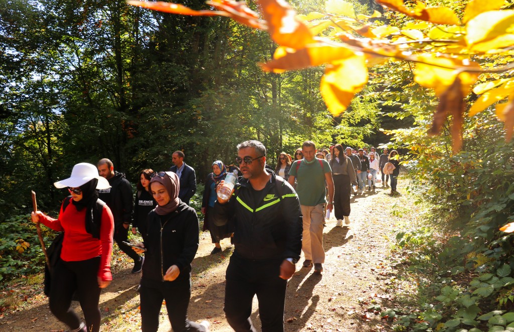 Gümüşhane'nin Örümcek Ormanları sonbaharın büyüsüne kapıldı