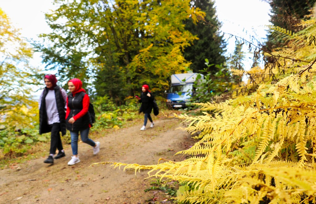 Gümüşhane'nin Örümcek Ormanları sonbaharın büyüsüne kapıldı