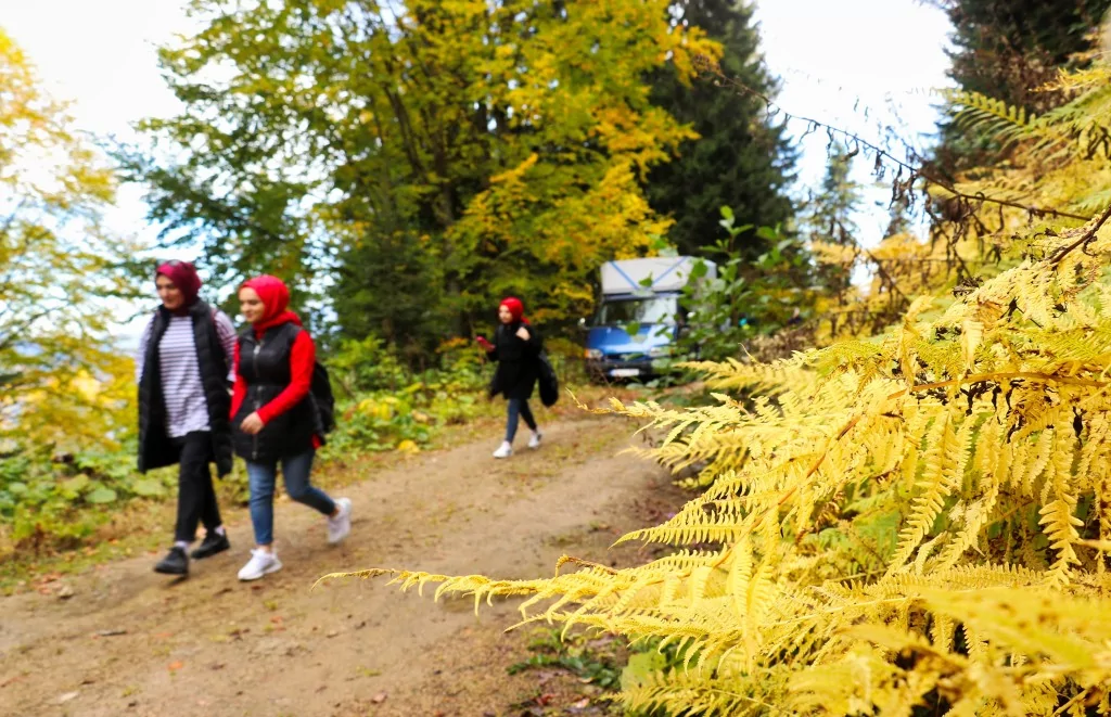 Gümüşhane'nin Örümcek Ormanları sonbaharın büyüsüne kapıldı