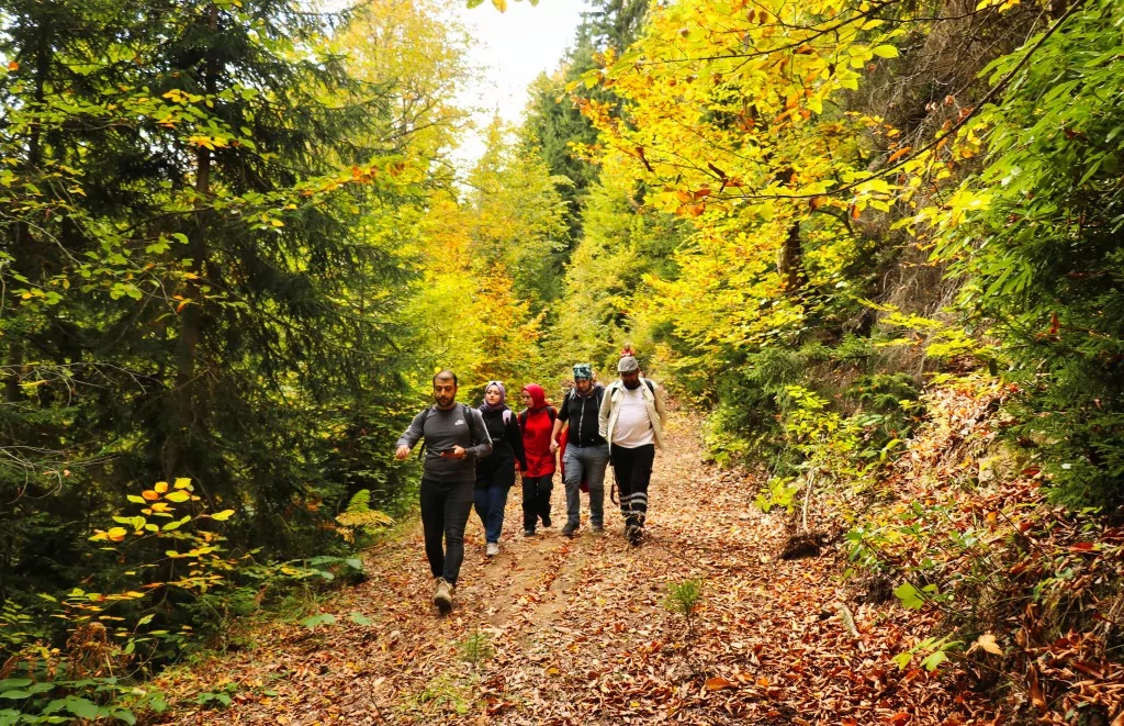 Gümüşhane'nin Örümcek Ormanları sonbaharın büyüsüne kapıldı