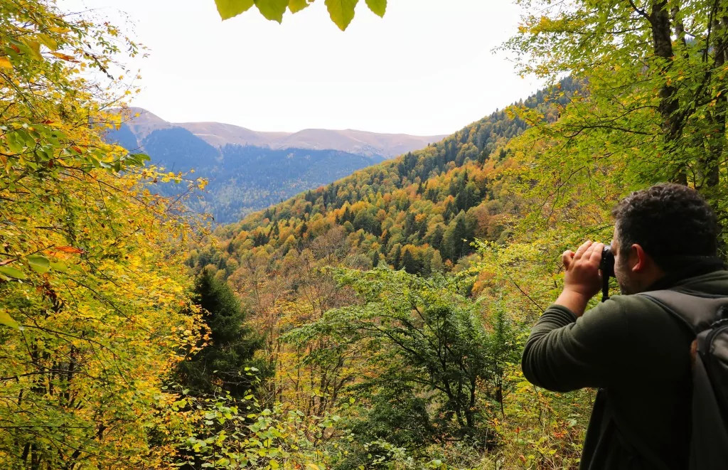 Gümüşhane'nin Örümcek Ormanları sonbaharın büyüsüne kapıldı