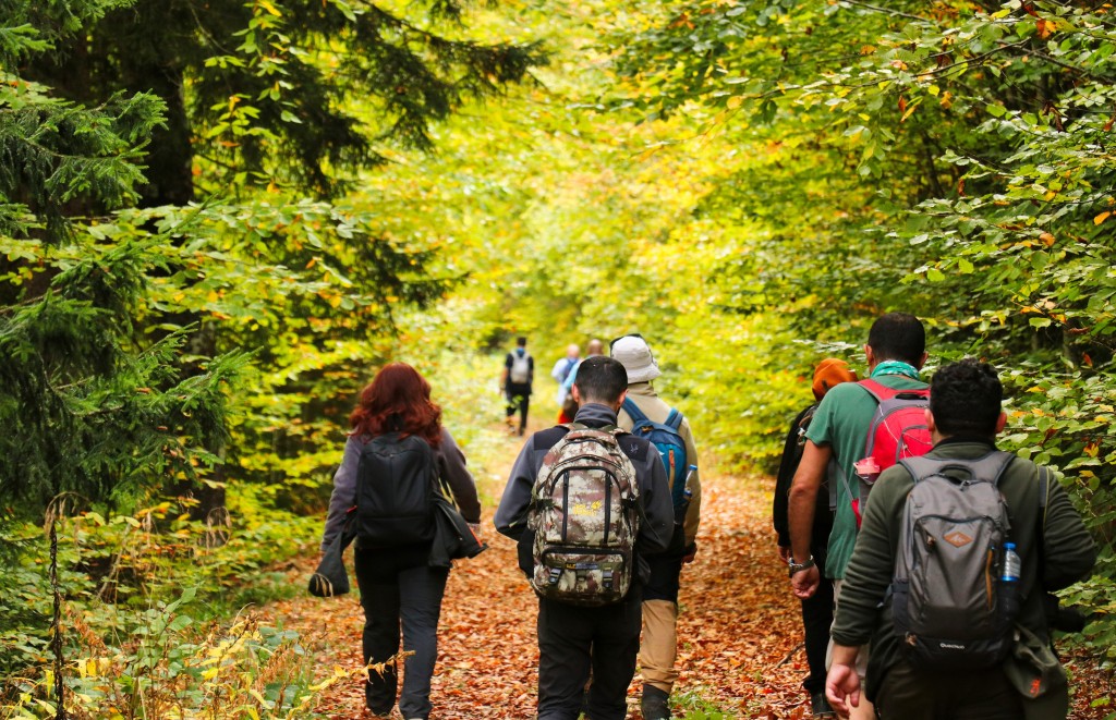 Gümüşhane'nin Örümcek Ormanları sonbaharın büyüsüne kapıldı