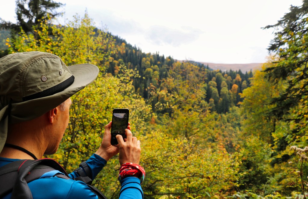 Gümüşhane'nin Örümcek Ormanları sonbaharın büyüsüne kapıldı