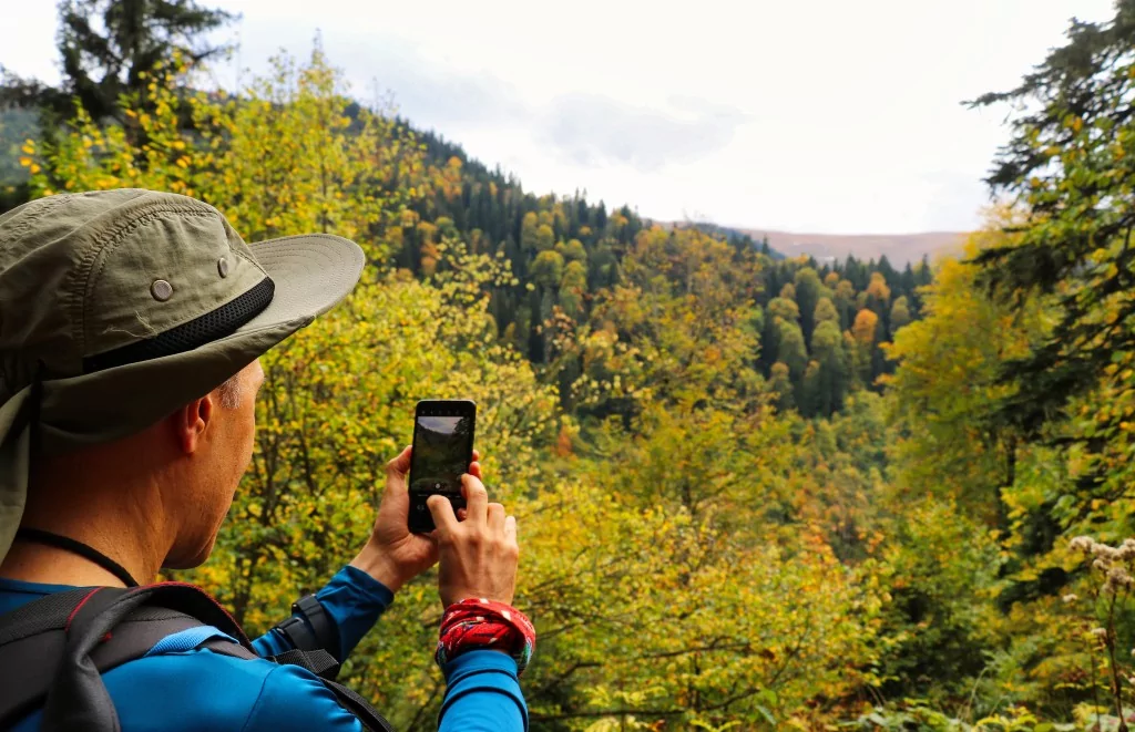 Gümüşhane'nin Örümcek Ormanları sonbaharın büyüsüne kapıldı
