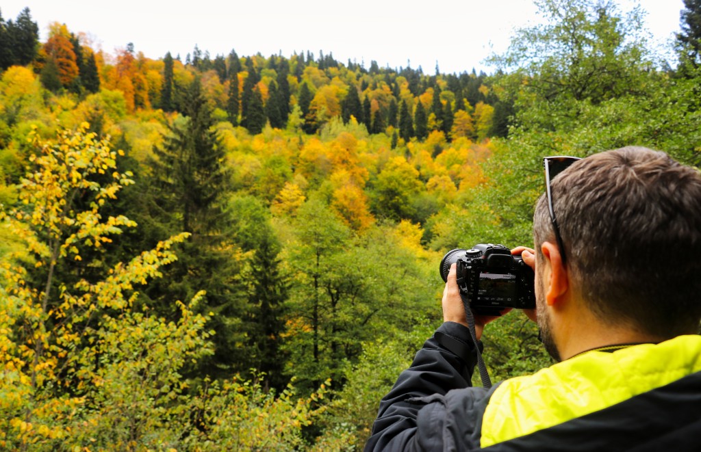 Gümüşhane'nin Örümcek Ormanları sonbaharın büyüsüne kapıldı