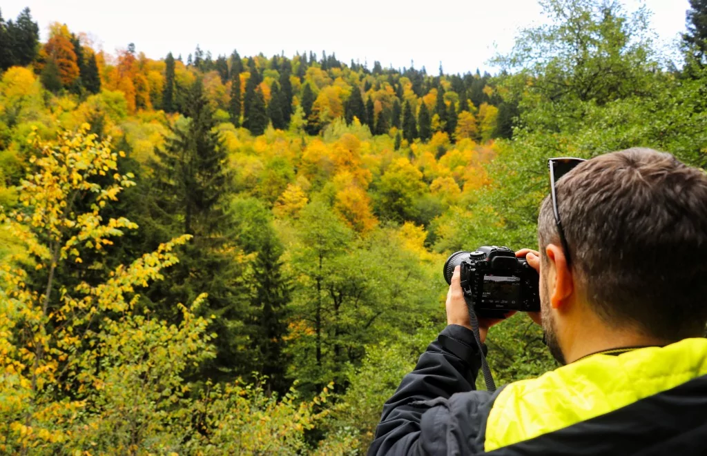 Gümüşhane'nin Örümcek Ormanları sonbaharın büyüsüne kapıldı