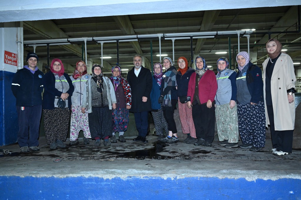 Bursa zeytininde hasat bereketi