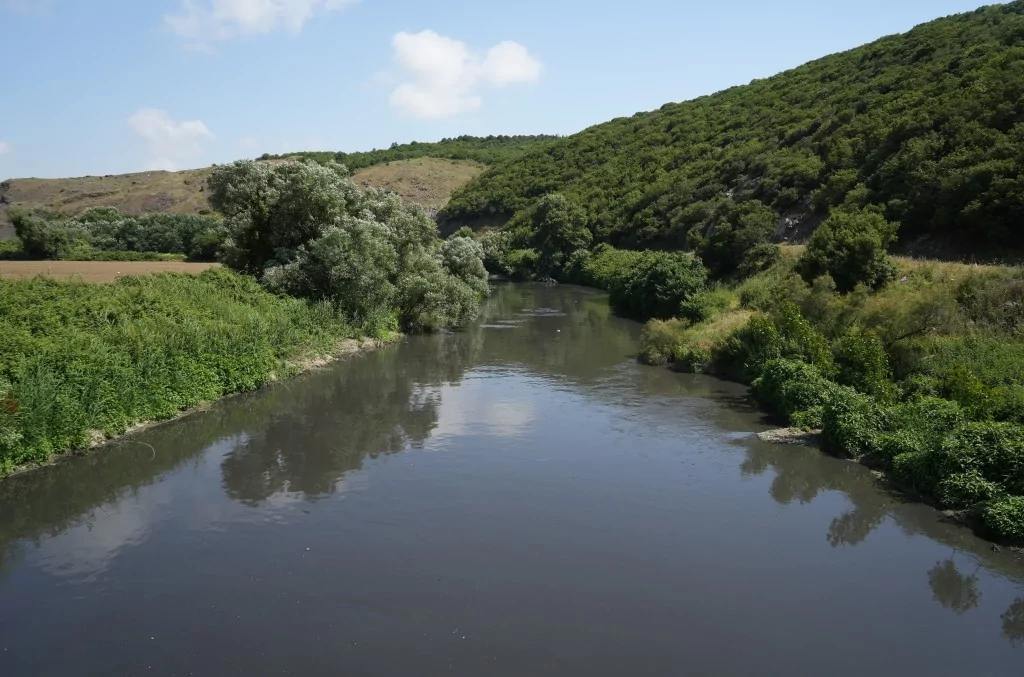 Bursa'da 30 yılın bitmeyen çilesi...Balıklar ölüyor, Nilüfer Çayı zehir akıyor