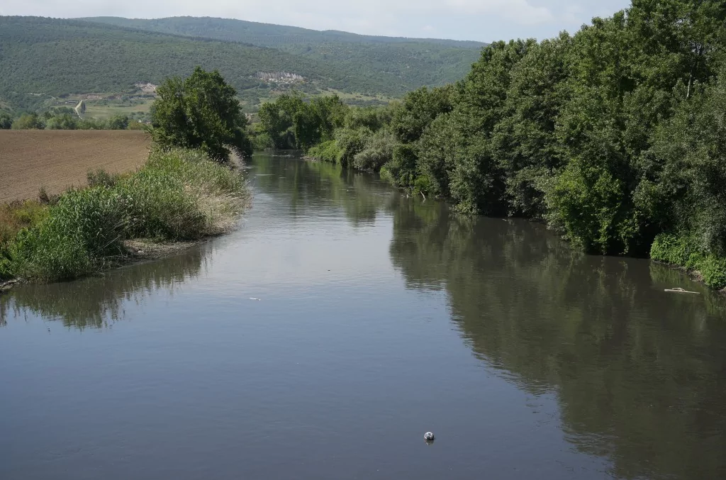 Bursa'da 30 yılın bitmeyen çilesi...Balıklar ölüyor, Nilüfer Çayı zehir akıyor