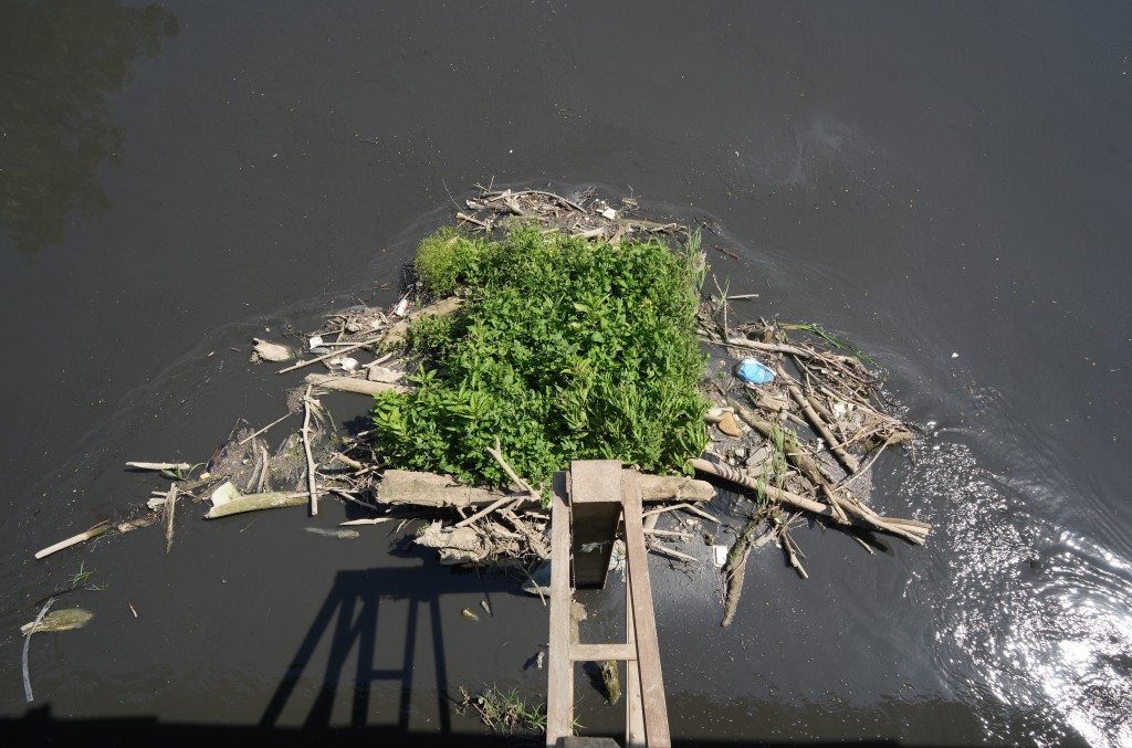 Bursa'da 30 yılın bitmeyen çilesi...Balıklar ölüyor, Nilüfer Çayı zehir akıyor