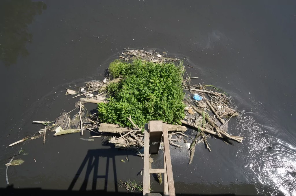 Bursa'da 30 yılın bitmeyen çilesi...Balıklar ölüyor, Nilüfer Çayı zehir akıyor