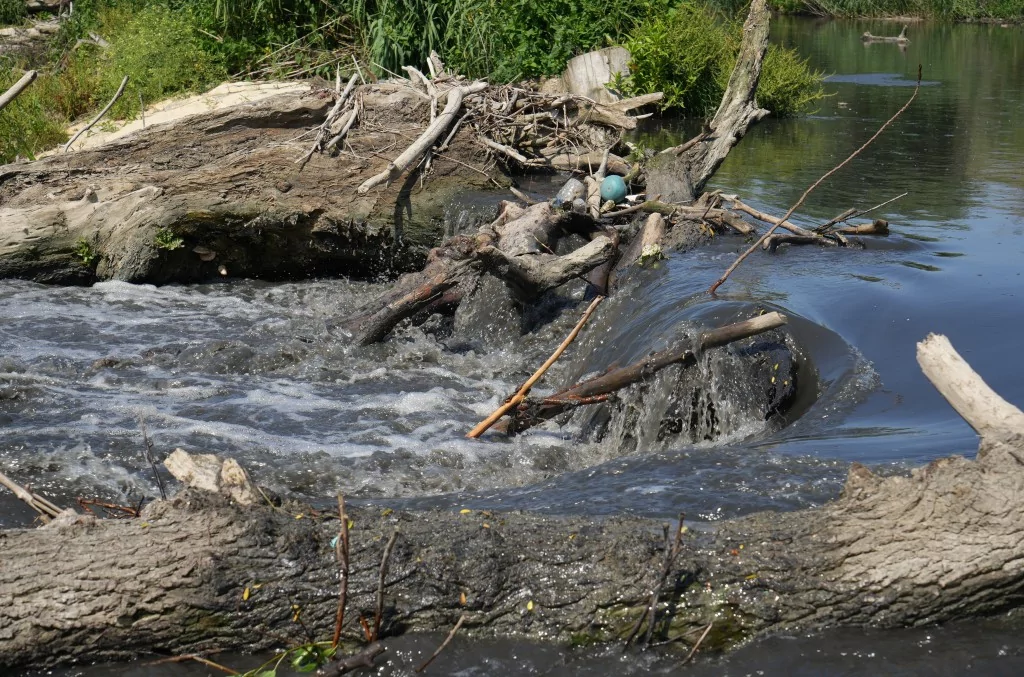 Bursa'da 30 yılın bitmeyen çilesi...Balıklar ölüyor, Nilüfer Çayı zehir akıyor