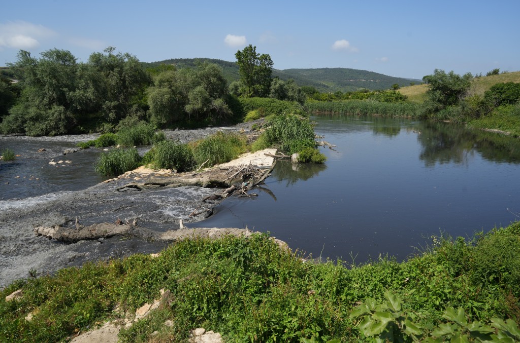 Bursa'da 30 yılın bitmeyen çilesi...Balıklar ölüyor, Nilüfer Çayı zehir akıyor