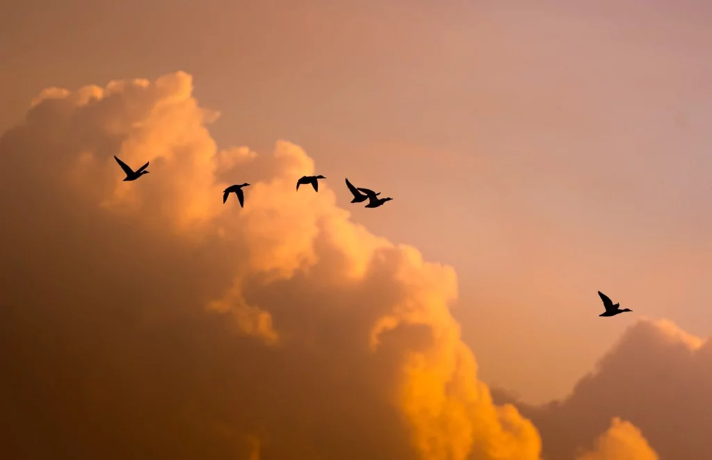 Bursa semalarında bulutlardan görsel şölen