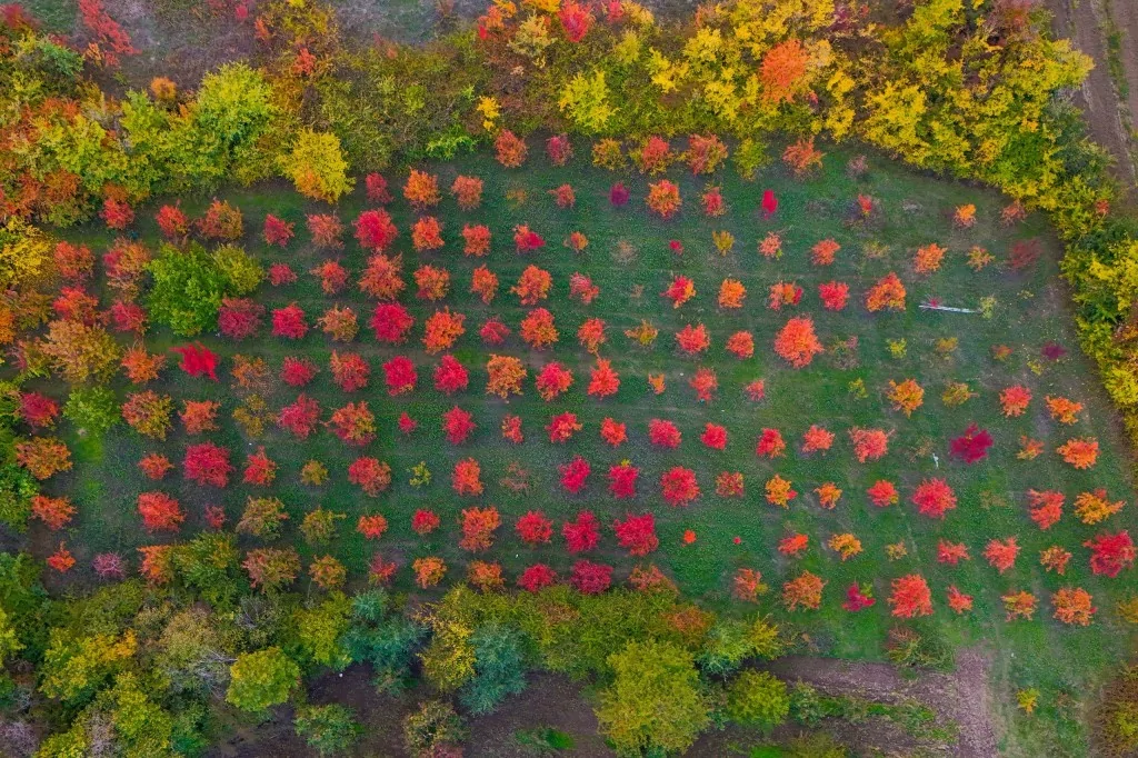 Uludağ'ın eteklerinde müthiş görüntüler