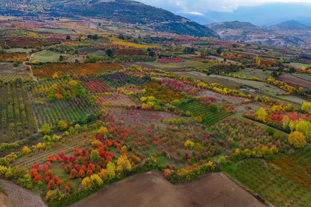 Uludağ'ın eteklerinde müthiş görüntüler