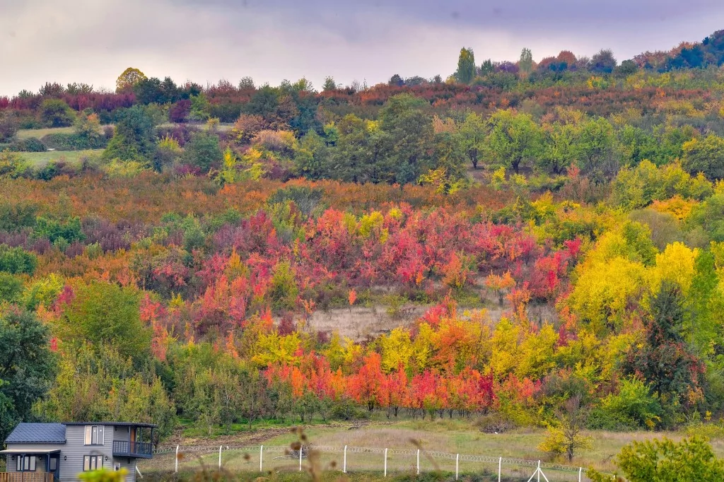 Uludağ'ın eteklerinde müthiş görüntüler