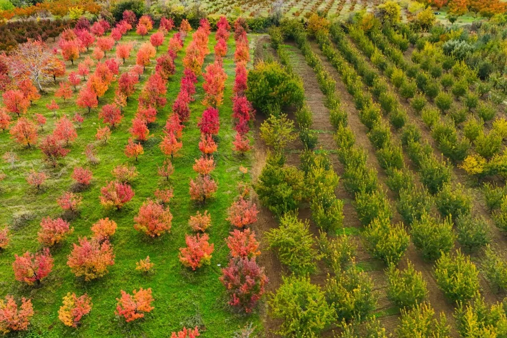 Uludağ'ın eteklerinde müthiş görüntüler
