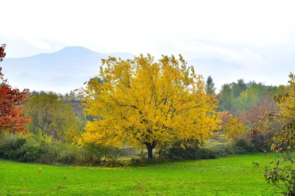 Bursa'da sonbaharın renkleri büyüledi