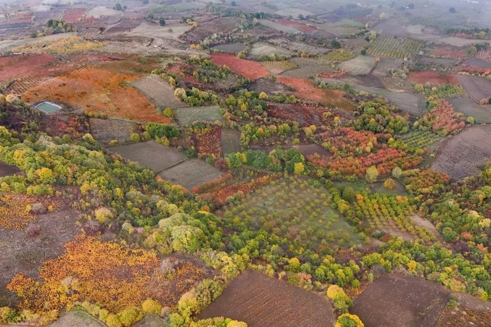 Bursa'da sonbaharın renkleri büyüledi