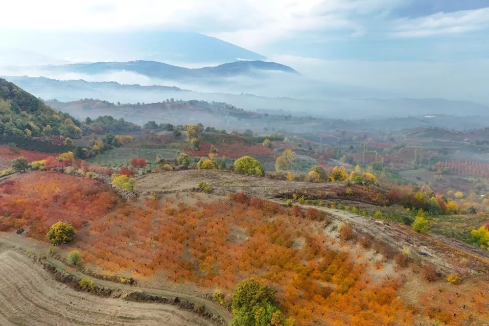 Bursa'da sonbaharın renkleri büyüledi