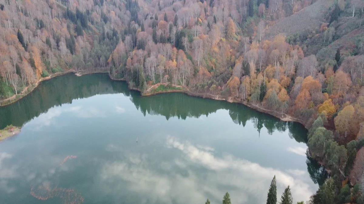 Osmanlı'dan Cumhuriyet'e doğa mirası: 3,4 milyon hektar alan koruma altında