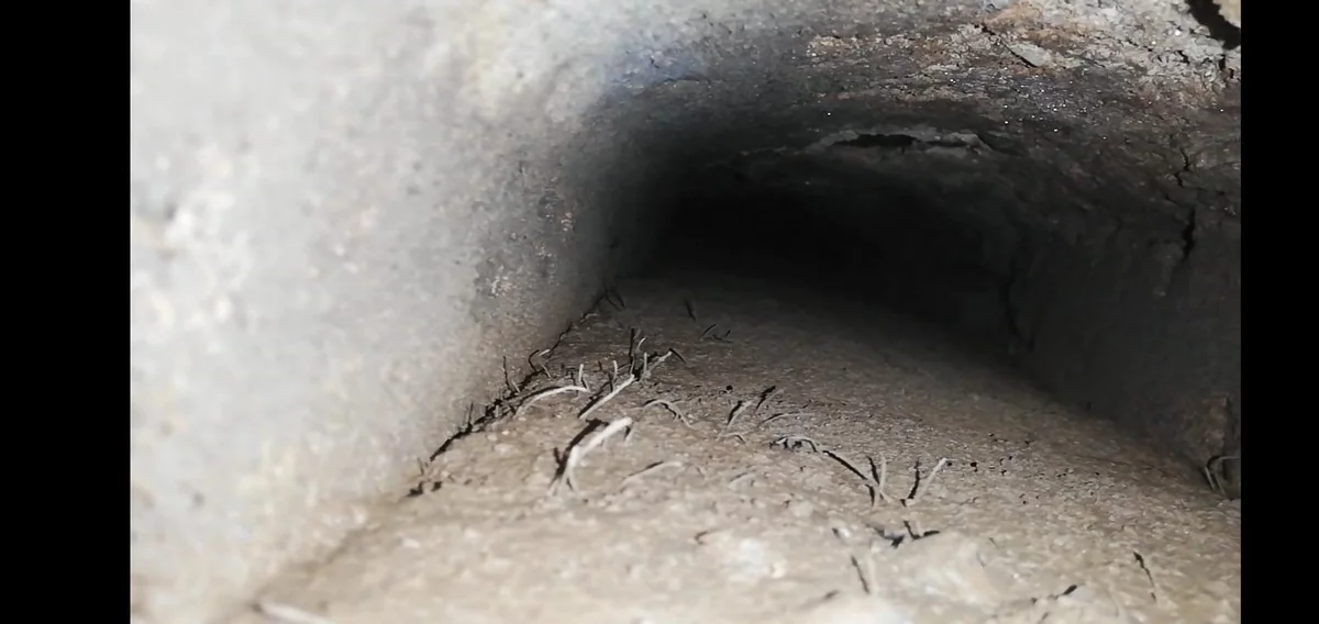 Asırlar sonra ortaya çıktı... Muradiye'de gizli kalan detay