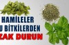 Hamileler bu bitkilerden uzak durun