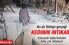 Kedinin korkunç intikamı